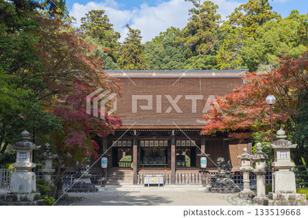 多田神社參拜殿秋葉季 多田神社參拜殿秋葉季 133519668