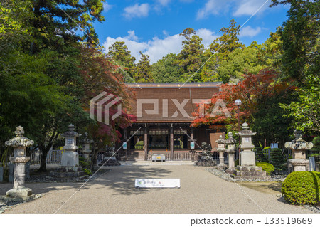 Tada Shrine worship hall Autumn leaves season 133519669