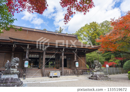 Tada Shrine worship hall Autumn leaves season Tada Shrine worship hall Autumn leaves season 133519672