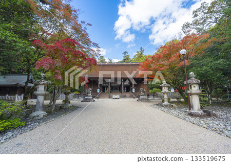 多田神社參拜殿秋葉季 多田神社參拜殿秋葉季 133519675