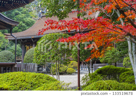 多田神社正殿秋葉季 多田神社正殿秋葉季 133519678
