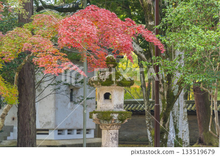 多田神社秋葉季 133519679