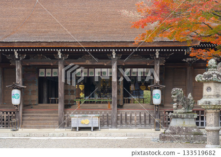 Tada Shrine worship hall Autumn leaves season 133519682