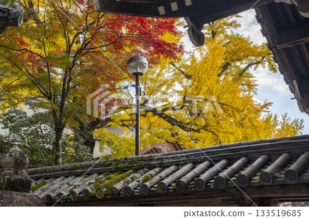 Tada Shrine Autumn leaves season 133519685