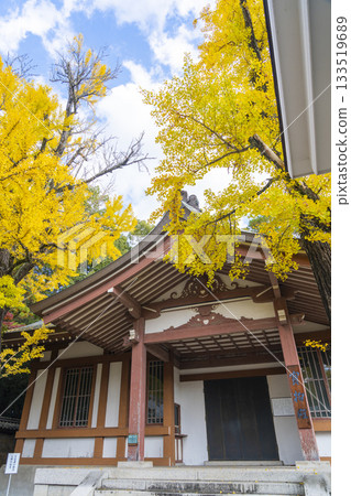 多田神社寶殿秋葉季 多田神社寶殿秋葉季 133519689
