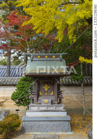 多田神社、多田院天滿宮、秋葉季節 多田神社、多田院天滿宮、秋葉季節 133519690