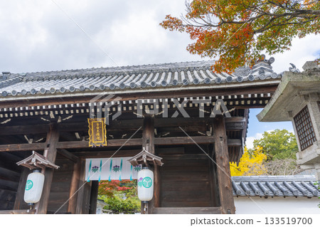 Tada Shrine South Gate Autumn leaves season 133519700