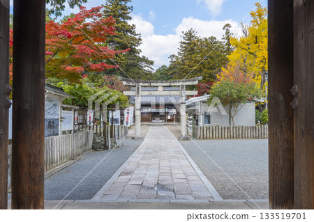 Tada Shrine South Gate Autumn leaves season 133519701