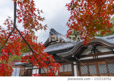 多田神社、汽車淨化站、秋季賞楓季 多田神社、汽車淨化站、秋季賞楓季 133519702