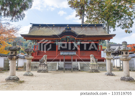 Tada Shrine Rokushogu Shrine Autumn leaves season Tada Shrine Rokushogu Shrine Autumn leaves season 133519705