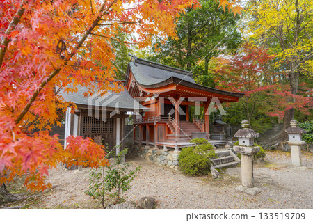 多田神社、嚴島神社、秋葉季 133519709