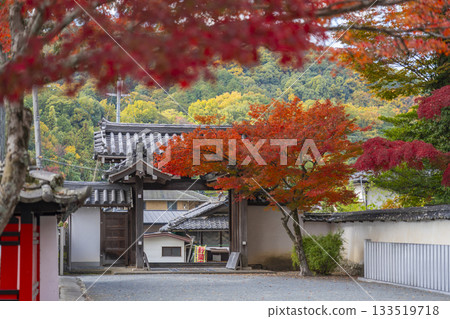 多田神社西門秋葉季 133519718