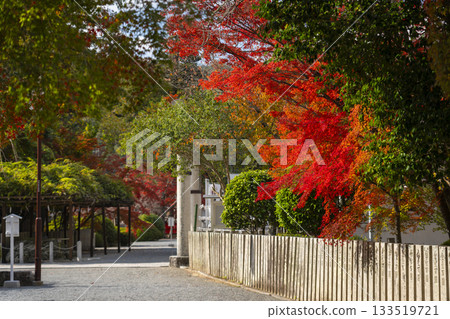 多田神社秋葉季 133519721