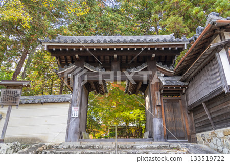 Tada Shrine East Gate Autumn leaves season 133519722