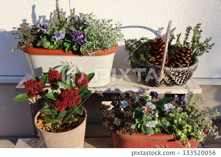 入口前種植花卉和盆栽 入口前種植花卉和盆栽 133520056