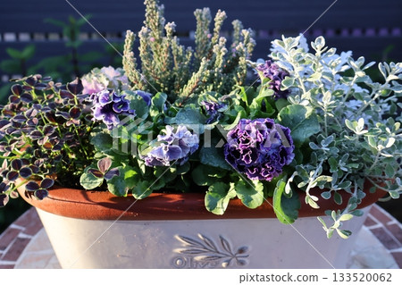 Stylish frilly viola arrangement 133520062