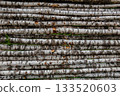 Stack of Birch Logs in Rustic Outdoor Wall Nature Texture Background 133520603