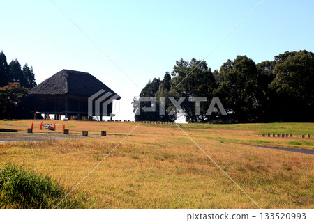 熊本縣山賀市菊池城歷史公園的景色 133520993