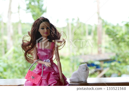 Doll in pink dress with a cat on a wooden table Doll in pink dress with a cat on a wooden table 133521568