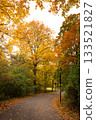 A paved path in a Stockholm city park, Hagaparken,lined by trees with beautiful autumn colors, and sunlight shining through 133521827