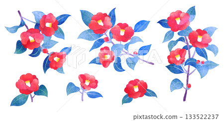 手繪水彩山茶花插圖套裝 手繪水彩山茶花插圖套裝 133522237