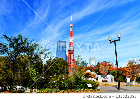 港區芝公園（東京都港區）[2025.11] 133522355