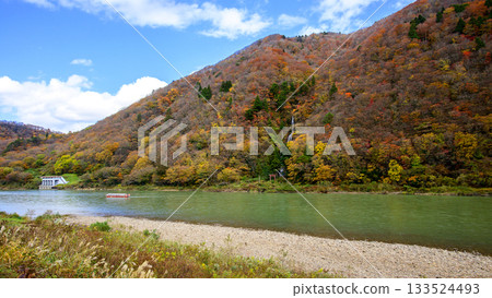 山形縣最上峽谷的深秋景色，乘船遊覽白絲瀑布 133524493