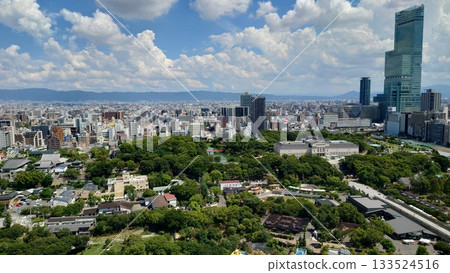 The view from Tsutenkaku 133524516