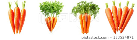 Fresh orange carrots with green tops displayed in a group healthy root vegetables for cooking isolated on white background 133524971