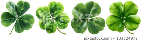 Four leaf clover close up images symbolizing good luck and fortune in nature isolated on white background 133524972