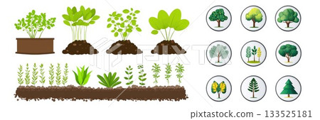 Collection of green plant growth stages and circular tree icons representing nature and sustainability isolated on white background 133525181