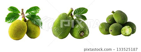Fresh green bergamots and brussels sprouts with leaves on a isolated on white background 133525187
