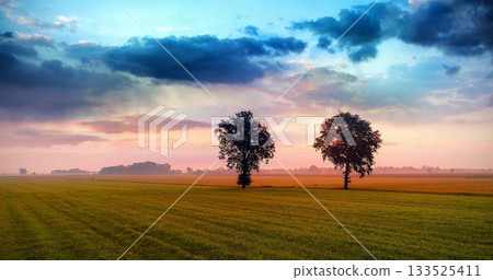Two deciduous trees are standing in flat design green field under pastel sky with sunlight beams Two deciduous trees are standing in flat design green field under pastel sky with sunlight beams 133525411
