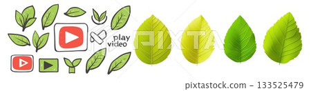 Fresh lemons and avocado slices against a clean white backdrop isolated on white background 133525479