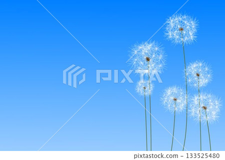 Digitally generated dandelions against blue sky 133525480