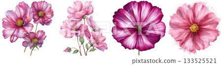 Delicate pink and magenta floral arrangement with painterly textures and soft hues isolated on white background 133525521