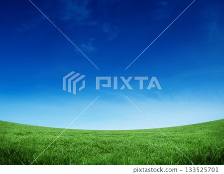 Green field under blue sky Green field under blue sky 133525701