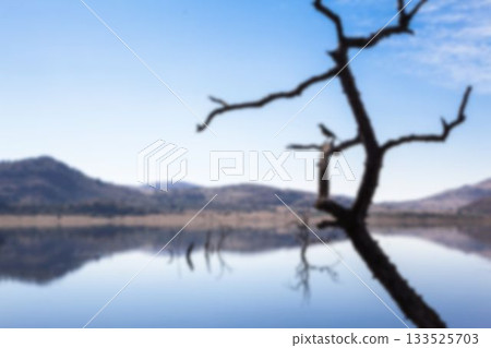 Bare tree by river against sky Bare tree by river against sky 133525703