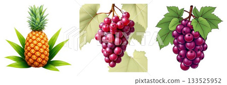 Fresh pineapple and juicy red grapes assortment isolated on white for healthy eating isolated on white background Fresh pineapple and juicy red grapes assortment isolated on white for healthy eating isolated on white background 133525952