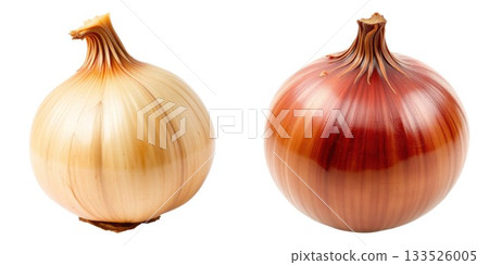 Two fresh onions one yellow one red isolated on for culinary use isolated on white background Two fresh onions one yellow one red isolated on for culinary use isolated on white background 133526005