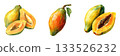 Fresh ripe papayas whole and sliced displayed naturally for healthy eating and refreshment isolated on white background 133526232