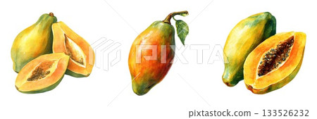 Fresh ripe papayas whole and sliced displayed naturally for healthy eating and refreshment isolated on white background Fresh ripe papayas whole and sliced displayed naturally for healthy eating and refreshment isolated on white background 133526232
