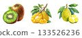 Three distinct groups of fresh fruit including kiwi oranges and lemons against a white backdrop isolated on white background 133526236