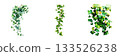 Three isolated botanical elements featuring lush green foliage and delicate branches on a clean white backdrop isolated on white background 133526238