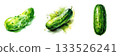 Three fresh green cucumbers arranged on a clean white surface for a healthy food concept isolated on white background 133526241