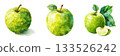 Three fresh green apples isolated on healthy food photography isolated on white background 133526242