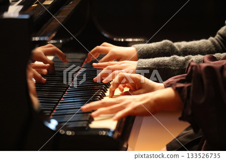 Playing the piano 133526735