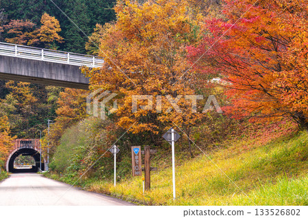 251113 岩瀧隧道 g002 251113 岩瀧隧道 g002 133526802