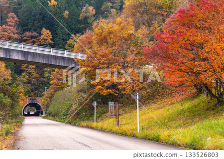 251113 岩瀧隧道 g004 251113 岩瀧隧道 g004 133526803