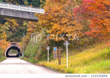 251113 岩瀧隧道 g011 133526809